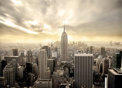 Samolepka flie 100 x 73  manhattan, 100 x 73 cm