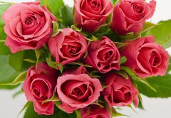 Samolepka flie 145 x 100, 18403490 - Bunch of roses - Banda r