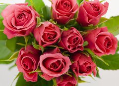 Fototapeta plátno 160 x 116, 18403490 - Bunch of roses - Banda růží