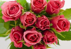 Fototapeta papr 184 x 128, 18403490 - Bunch of roses - Banda r