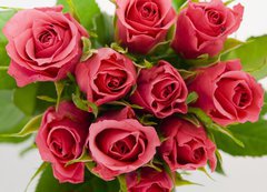 Samolepka flie 200 x 144  Bunch of roses, 200 x 144 cm