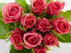 Samolepka flie 270 x 200, 18403490 - Bunch of roses - Banda r
