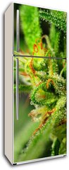 Samolepka na lednici flie 80 x 200  Marijuana, 80 x 200 cm