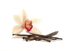 Fototapeta papr 184 x 128, 18845882 - Orchidee - Orchidea