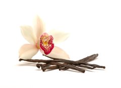 Fototapeta pltno 240 x 174, 18845882 - Orchidee - Orchidea