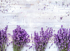 Fototapeta papr 160 x 116, 188691240 - Bunch of dry lavender flowers on rustic background top view mock