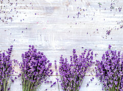 Fototapeta pltno 330 x 244, 188691240 - Bunch of dry lavender flowers on rustic background top view mock