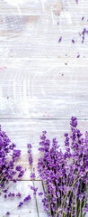 Samolepka na dveře fólie 90 x 220, 188691240 - Bunch of dry lavender flowers on rustic background top view mock