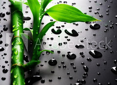 Samolepka flie 100 x 73, 18901252 - Bamboo