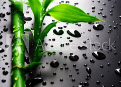 Fototapeta pltno 240 x 174, 18901252 - Bamboo