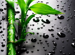 Samolepka flie 270 x 200, 18901252 - Bamboo