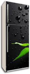 Samolepka na lednici flie 80 x 200  Bamboo over Black, 80 x 200 cm