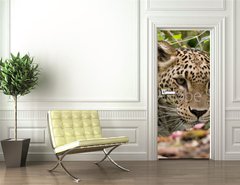 Samolepka na dvee flie 90 x 220  Persian Leopard, 90 x 220 cm