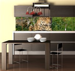 Fototapeta do kuchyn flie 260 x 60  Leopard, 260 x 60 cm