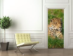 Samolepka na dvee flie 90 x 220  Leopard, 90 x 220 cm