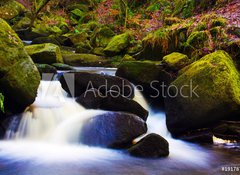 Samolepka flie 100 x 73  flowing stream, 100 x 73 cm