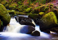 Samolepka flie 145 x 100  flowing stream, 145 x 100 cm
