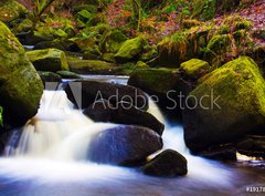 Fototapeta pltno 330 x 244, 19178751 - flowing stream