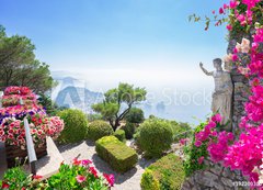 Samolepka flie 200 x 144  Capri island, Italy, 200 x 144 cm