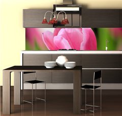 Fototapeta do kuchyn flie 260 x 60  tulip, 260 x 60 cm