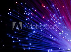 Fototapeta plátno 160 x 116, 19500581 - multi colored optic fibers - vícebarevné optické vlákna