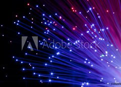 Fototapeta vliesov 200 x 144, 19500581 - multi colored optic fibers