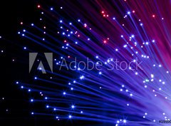 Fototapeta pltno 330 x 244, 19500581 - multi colored optic fibers