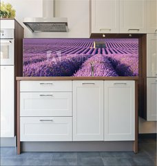 Fototapeta do kuchyn flie 180 x 60, 195185269 - Lavender fields in Plateau de Valensole with a stone house in Summer. Alpes de Haute Provence, PACA Region, France