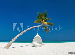 Fototapeta vliesov 100 x 73, 196863504 - Beautiful tropical beach in Maldives - Krsn tropick pl na Maledivch