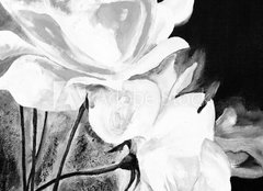 Fototapeta papír 254 x 184, 197308949 - lbild: Weie Rosen
