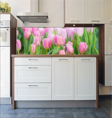 Fototapeta do kuchyn flie 180 x 60, 197459924 - Tulip Flower in the Garden.,Nature background.