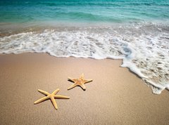 Samolepka flie 270 x 200, 19804151 - two starfish on a beach - dv hvzdice na pli
