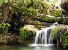 Fototapeta vliesov 100 x 73, 19824757 - Rainforest waterfall