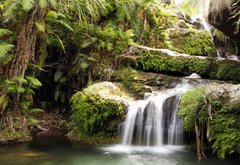 Fototapeta vliesov 145 x 100, 19824757 - Rainforest waterfall