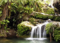 Fototapeta vliesov 200 x 144, 19824757 - Rainforest waterfall