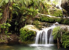 Samolepka flie 200 x 144, 19824757 - Rainforest waterfall - Rainforest vodopd