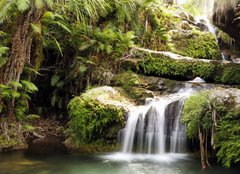 Fototapeta papr 254 x 184, 19824757 - Rainforest waterfall