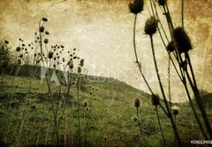 Fototapeta pltno 174 x 120, 20013462 - Vintage nature