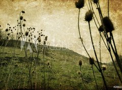 Fototapeta270 x 200  Vintage nature, 270 x 200 cm