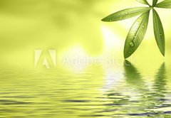 Fototapeta174 x 120  Wellness Motiv mit viel Freiraum, 174 x 120 cm