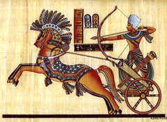 Samolepka flie 100 x 73  Egyptian papyrus, 100 x 73 cm