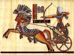 Samolepka flie 270 x 200, 20074338 - Egyptian papyrus - Egyptsk papyrus