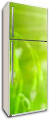 Samolepka na lednici fólie 80 x 200, 20124033 - nature et énergie - fleurs de tournesols sur fond vert - příroda a energie