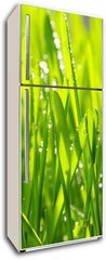 Samolepka na lednici flie 80 x 200, 20126936 - grass