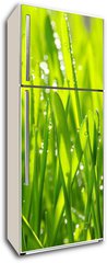 Samolepka na lednici fólie 80 x 200, 20126936 - grass - tráva