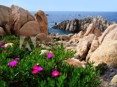 Fototapeta vliesov 270 x 200, 20128555 - Costa Paradiso, Sardinia, Italy