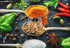 Fototapeta pltno 174 x 120, 201727339 - Various herbs and spices on dark background