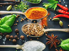 Samolepka flie 270 x 200, 201727339 - Various herbs and spices on dark background
