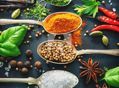 Fototapeta papír 360 x 266, 201727339 - Various herbs and spices on dark background - Různé byliny a koření na tmavém pozadí