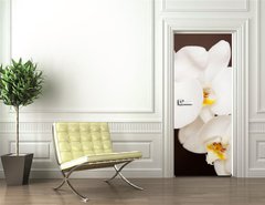 Samolepka na dvee flie 90 x 220, 20241888 - Beautiful orchid on brown background